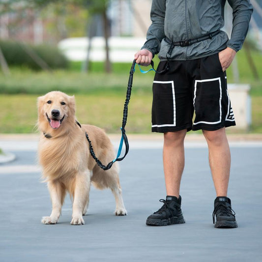 Ultimate Hands-Free Dog Leash with Zipper Pouch - Enjoy Comfortable Walks, Jogging, and Running with Dual Padded Handles and Durable Bungee