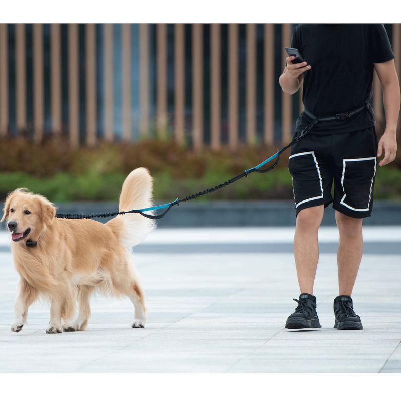 Ultimate Hands-Free Dog Leash with Zipper Pouch - Enjoy Comfortable Walks, Jogging, and Running with Dual Padded Handles and Durable Bungee