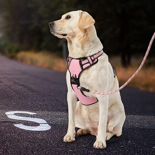 No-Pull Dog Vest with Leash, Reflective Anti-Choking Pet Vest, Adjustable Oxford Dog Vest with Easy-Control Handle for Small and Large Dogs