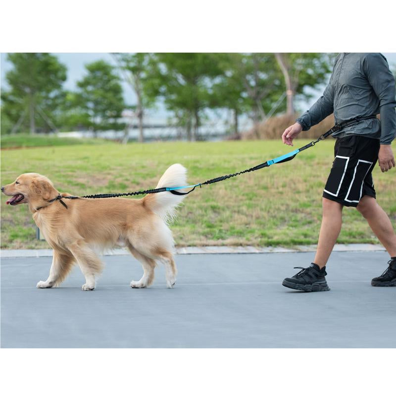 Ultimate Hands-Free Dog Leash with Zipper Pouch - Enjoy Comfortable Walks, Jogging, and Running with Dual Padded Handles and Durable Bungee