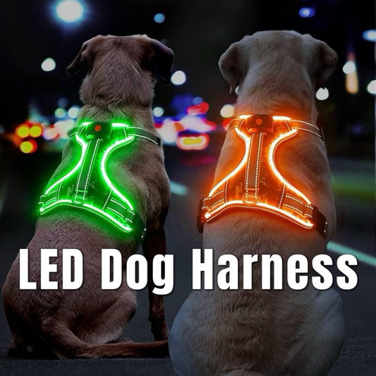Glowpaws LED Dog Harness [FREE SHIPPING]