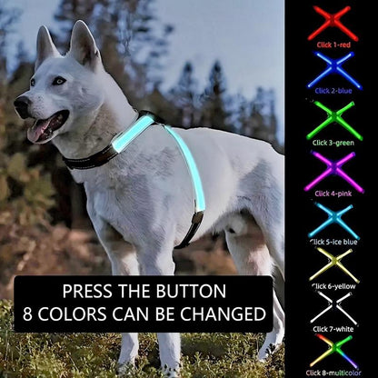 Glowpaws LED Dog Harness [FREE SHIPPING]